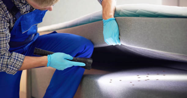 Best Local Pest Control Services  in Halfway House, PA