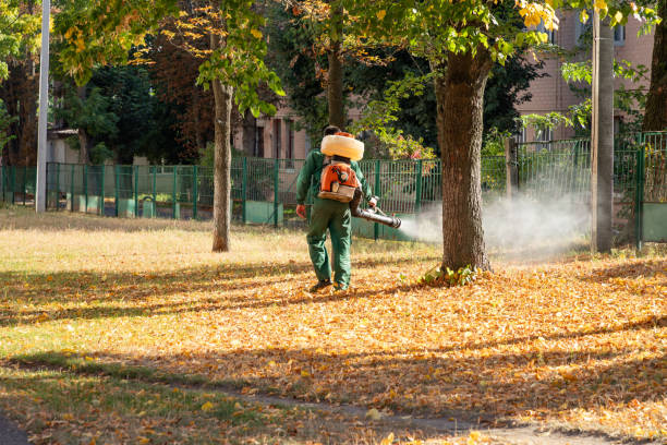 Best Exterminator Services  in Halfway House, PA