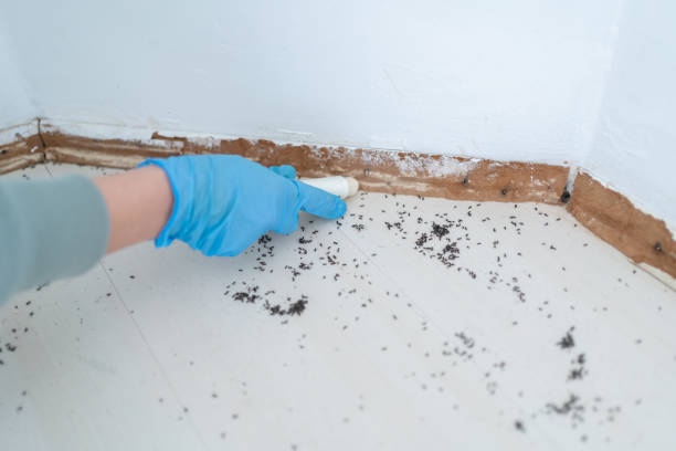 Best Insect Control  in Halfway House, PA