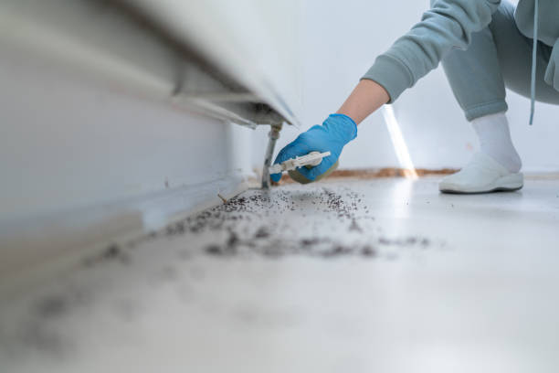 Trusted Halfway House, PA Pest Control Experts